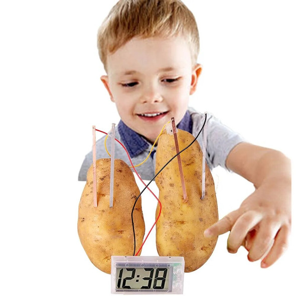 Kids Montessori Toy Fruit Potato Dry Battery Educational Science Toys for Children Technology Experiment School Teaching Aids Kids Montessori Toy Fruit Potato Dry Battery Educational Science Toys for Children Technology Experiment School Teaching Aids