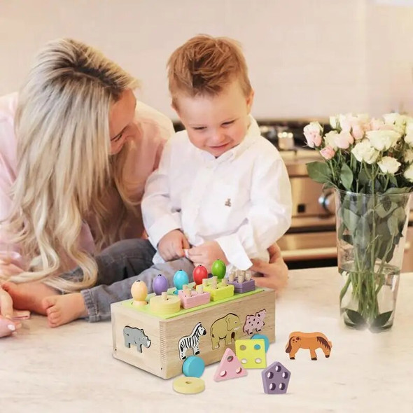 Shape Sorter Stacking Sorting Toys For Kids Magnetic Fishing Game Early Learning Toys Montessori Motor Skills Toy For 3 4 5