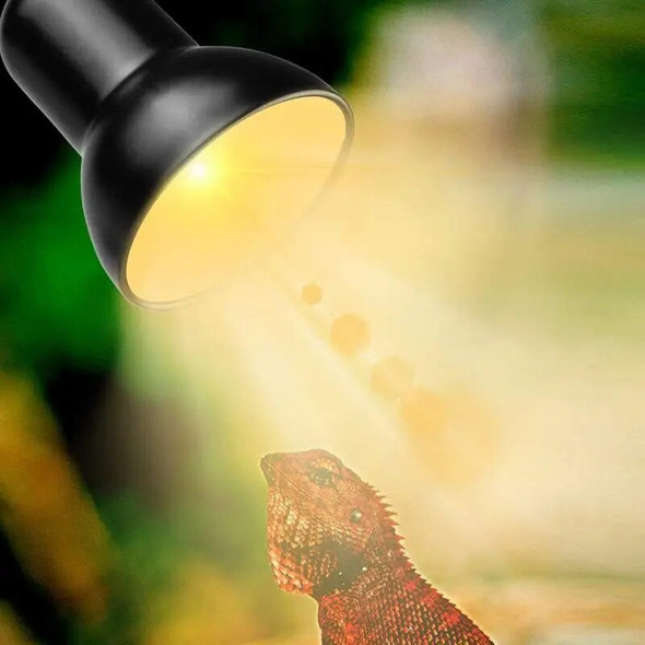 Reptile Heat Lamp Amphibians Basking UV Bulbs Heating Lamp Tortoises Heat Providing Lighting Lizards Snake Habitat Lighting Tool