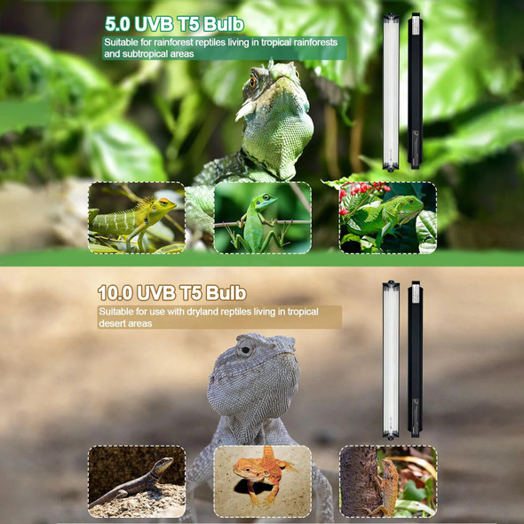 8W T5 UVB Reptile Light Fixture Kit Tropical Desert Habitats Reptile Terrarium Hood Light UVB 10.0 Fluorescent Tube Hood Light