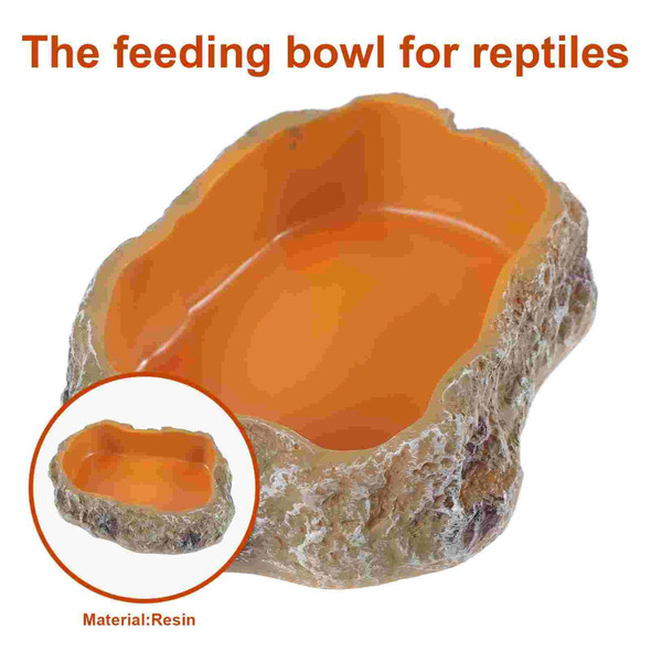 Pet Feeding Bowl Supply Terrarium Tank Reptile Food Water Dish Amphipod Decorative Supplies Accessories