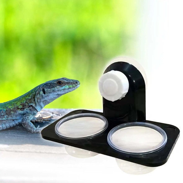 Suction Cup Reptile Feeder Easy to Use Terrarium Feeding Dish Bowl for Frog Bearded Dragon Gecko Reptile Keeper Chameleon