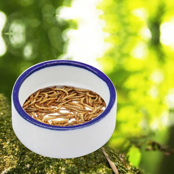 Reptile Bowls Terrarium Feeding Worm Dish Reptile Mealworm Feeder Dish Ceramic Bowl for frog Gecko Snake Spiders Rats