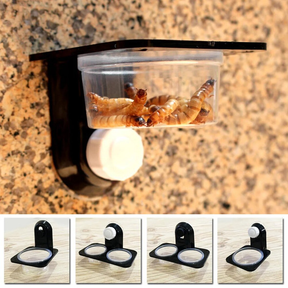 1pcs ABS Reptile Tank Food Water Feeding Bowl Insect Spider Ants Nest Snake Gecko Terrarium Breeding Feeders Box Pets Supplies