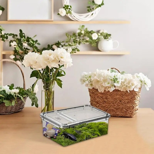19cmx12.5cmx7.5cm Terrarium For Reptiles Spider Transparent Plastic Feeding Box Insect Food Feeding Container Terrarium Bowls