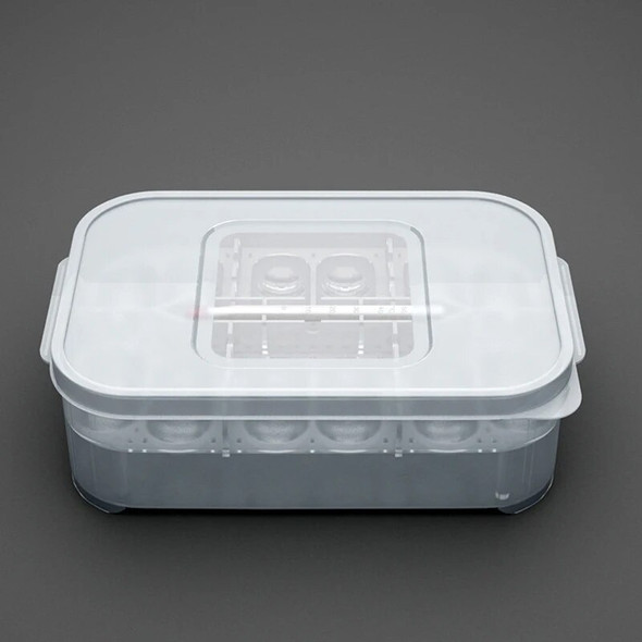 Terrarium for Reptiles Accessories Terrarium Bowls Egg Incubator Tray Thermometer DIY Incubation Gecko Accessories Lizard Snake