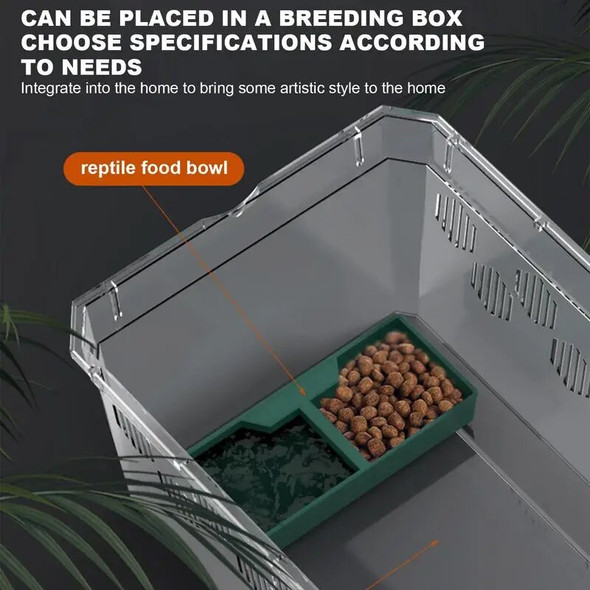 Reptile Bowl 2 Compartments Dark Green Reptile Water Dish Reptile Feeder Habitat Decor Terrarium Dish For Lizard Frog Gecko