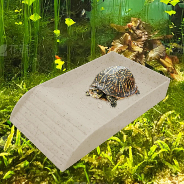 Reptile Feeding Dish Amphibians Accessories Terrarium Bowl Tortoise Water Dish for Leopard Snake Turtle Hamster Scorpion