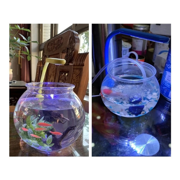 Plastics Fish Bowl Clear Bubble Planter Terrarium for Centerpieces Party Decor