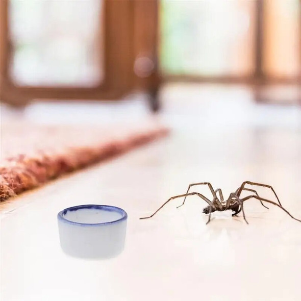 24pcs Reptiles Spider Water Bowls Ceramic Dish Tarantula Water Bowl Terrarium Bowls For Tiny Reptile Climbing Pet Water Feeder