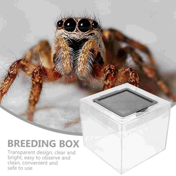 Tarantula Snake Breeding Reptile Habitat Container Tank Bowl Enclosure Box Feeding Cricket Terrarium Cage House Crab Spider