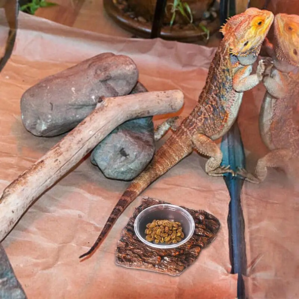 Reptile Water Bowl Landscaping Drinking Water Feeding Basin Resin Terrarium Bowls Mini Feeder Water Storage Basin For Pets