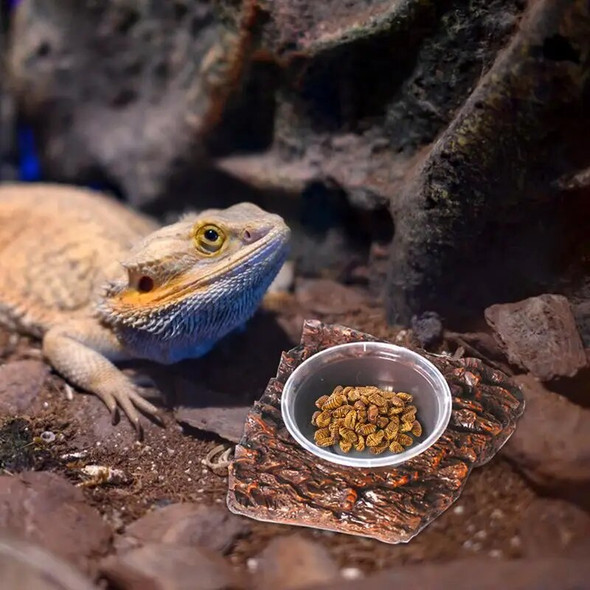 Reptile Water Bowl Resin Terrarium Feeding Worm Dish Non-toxic Food Water Pot Reptile Turtle Tortoise Scorpion Lizard Crabs