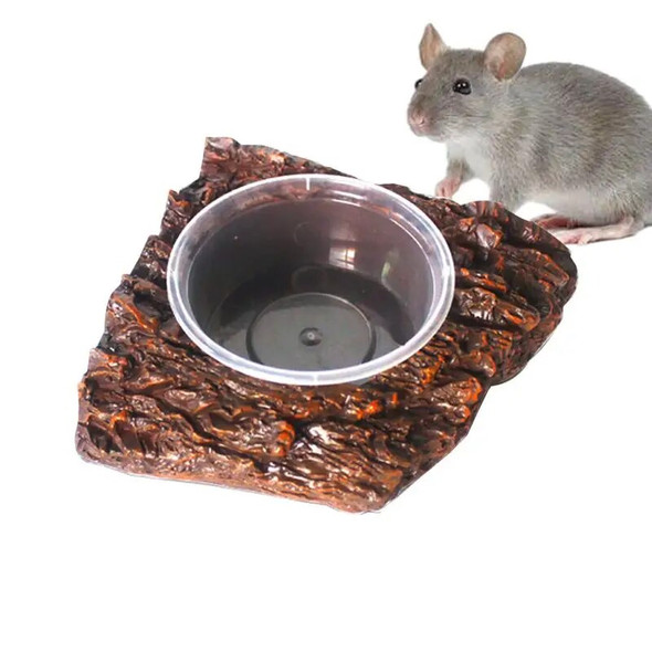 resin terrarium bowls frog water dish reptile food holder supply fogger dish water tanks bowls pet supplies accessories