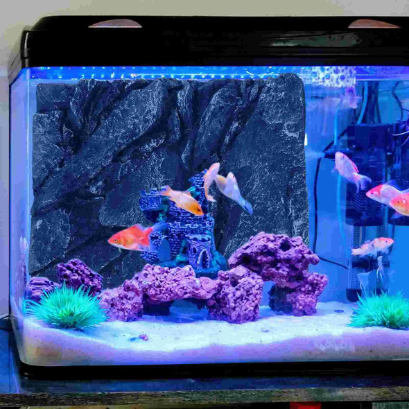 Reptile Box Backdrop Fish Bowl Decor Terrarium Background Three-dimensional Decorations for Tank Pu Rock
