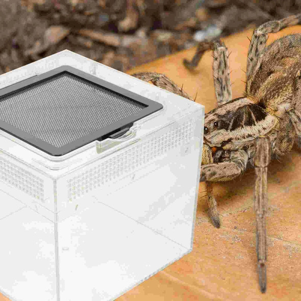 House Terrarium Feeding Crab Reptile Cage Enclosure Bowl Spider Breeding Cricket Snake Tarantula Container Tank Habitat Box