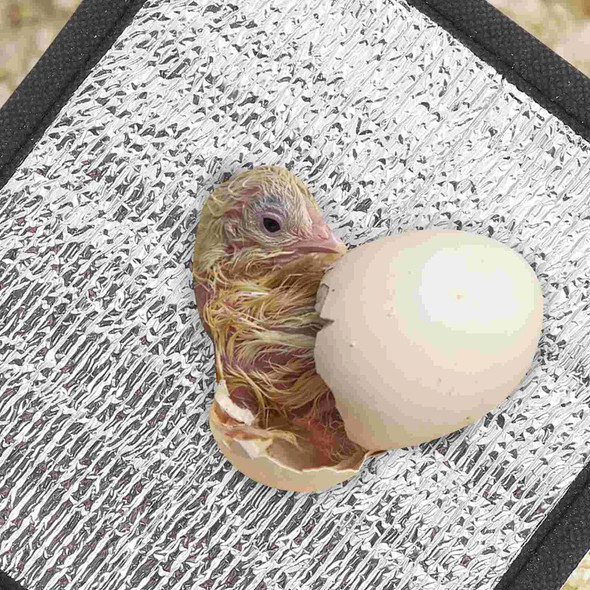 2 Pcs Heating Pad Pads Reptile Tank Warmer Cat Mat for Turtle Pearl Cotton Terrarium Heater