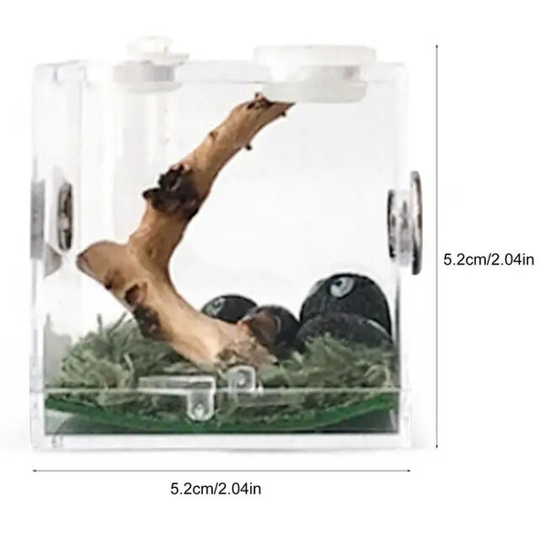 Mini Reptiles Breeding Box Clear Acrylic Cage Habitat Insect Feeding Box Terrarium Tank Escape Proof For Jumping Spider