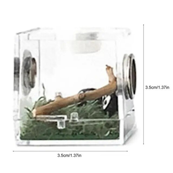 Mini Reptiles Breeding Box Clear Acrylic Cage Habitat Insect Feeding Box Terrarium Tank Escape Proof For Jumping Spider