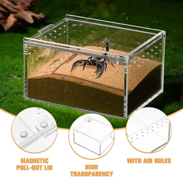 1pc Spider Scorpion Feeding Box Acrylic Breeding Tank Transparent Reptile Feeding Box Reptile Terrarium Habitat Home Decoration