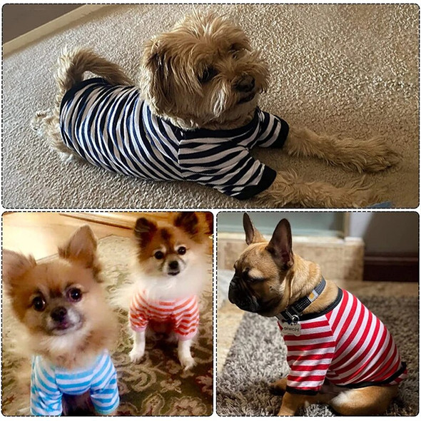 Summer Dog Striped T-Shirt Dog Shirt Breathable Pet Apparel Colorful Puppy Sweatshirt Dog Clothes for Small To Medium Dogs Puppy
