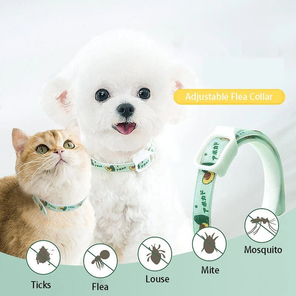 Flea and Tick Collar For Small Medium Large Dogs Adjustable Pest Control Puppy Cat Chihuahua Collar Pet Product Dog Accessories