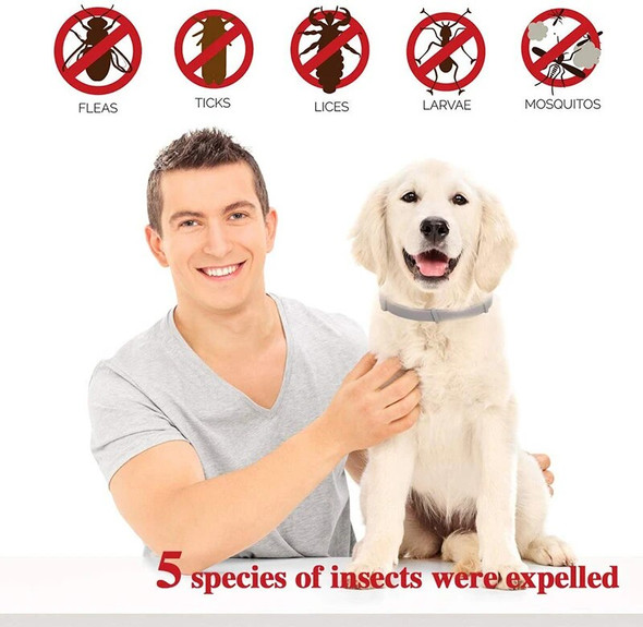 Benepaw Effective Pet Flea Collar 8 Months Protection Safe Waterproof Adjustable Dog Flea Tick Treatment Prevention Collar