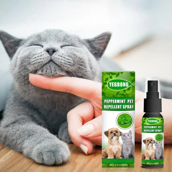 Pet Dog Flea Killer Vitro Spray Long-Lasting Control Repel Fleas Ticks Lice Insect Remover For Cats Dogs 60ML​ artículos para ma