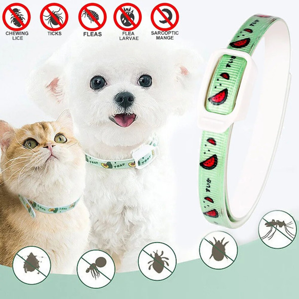 Dog Anti Flea and Tick Cat Collar 6 Months Protection Retractable Pet Control Collar for Puppy Cat Flea & Tick Prevention Collar