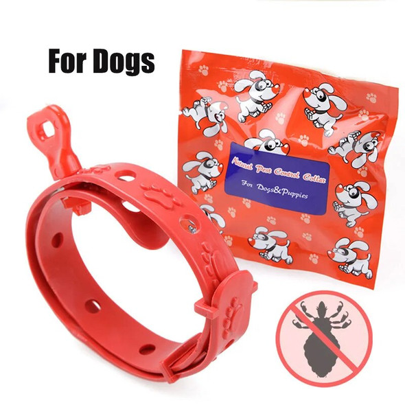 Pet Flea Removal Collar Dog Flea Removal Collar Cat Flea Removal Collar Cat Flea Removal Collar