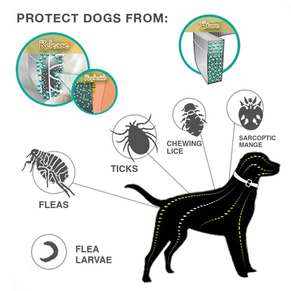 Dogs Mosquitoe Repellent Collar Pet Antiparasitic Anti Flea Tick Collar For Small Large Dog Cat Leash Retractable Dog Accessorie