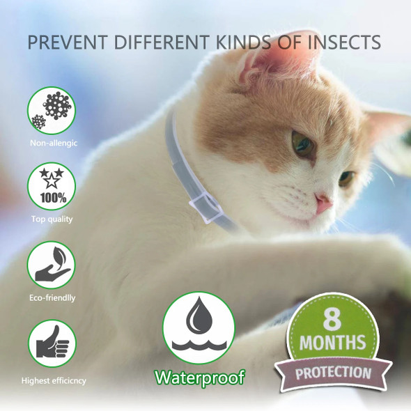 Dewel Pet Mosquitoe Repellent Collar Dog Antiparasitic Collar Anti Flea Tick Collar Dog Cat 8 Months Protection Dog Accessorie