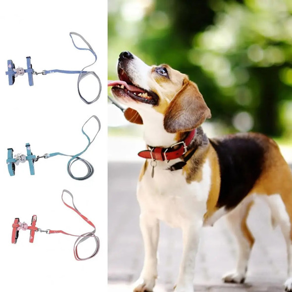 Cat Dog Collar Harness Leash Anti-lost Rabbit Pet Kitten Harness Pet Traction Cat Kitten Halter Collar Pet Accessories