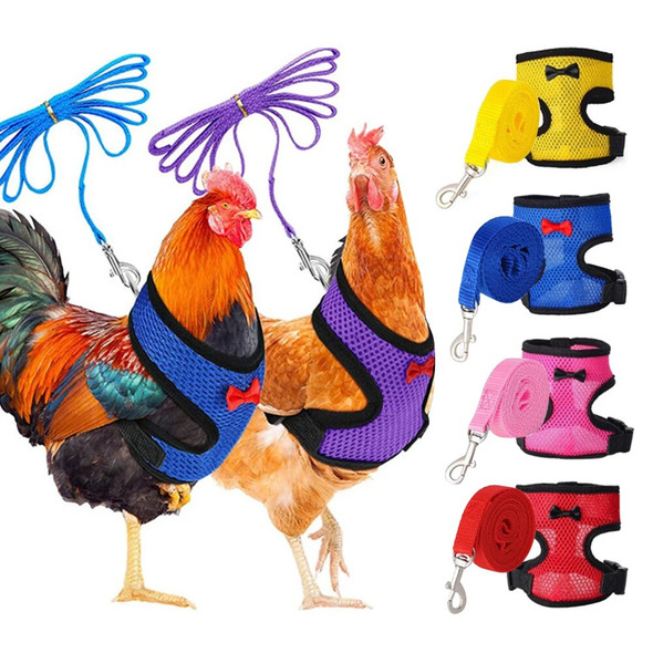 Adjustable Mesh Leashes Chicken Duck Vest Hen Belt Pet Harness Matching Training Collars for Walking Duck Goose Hen Rooster
