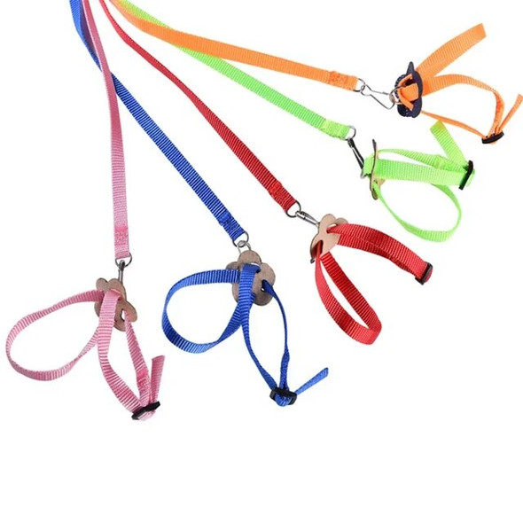 Adjustable Pet Parrot Traction Strap Anti-bite Training Rope Outdoor Rope Hamster Turtle Lizard Pet Leash Bird Collar Harness