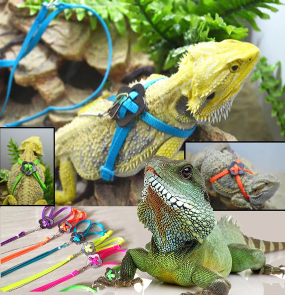 Reptile Lizard Dragon Harness Leash Adjustable Walking Hauling Cable Belt Traction Training Rope Pet Supplies Collar Chest Strap