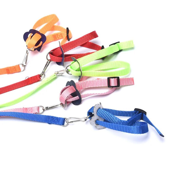 Outdoor Adjustable Parrot Bird Harness Leash Anti-Bite Training Rope Flying Harness Leash Hamster Turtle Lizard Traction Rope