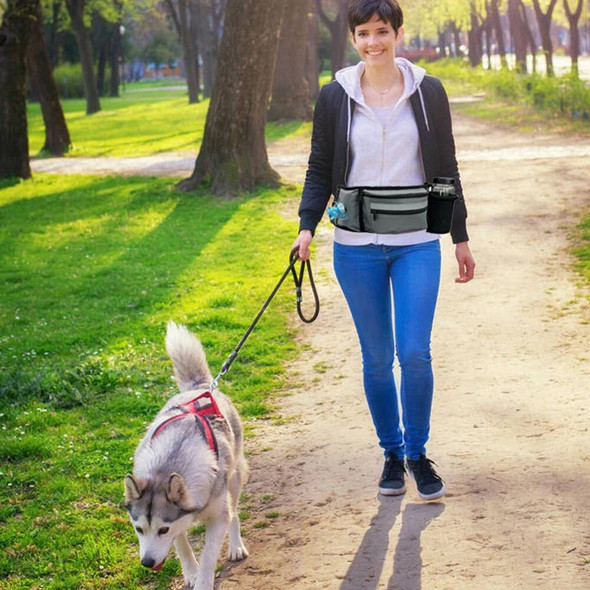 Multifunctional Pet Training Waistpack Dog Walking Bag Strip Waist Bags Pet Treat Snack Bag with Hidden Water Bottle for Outdoor