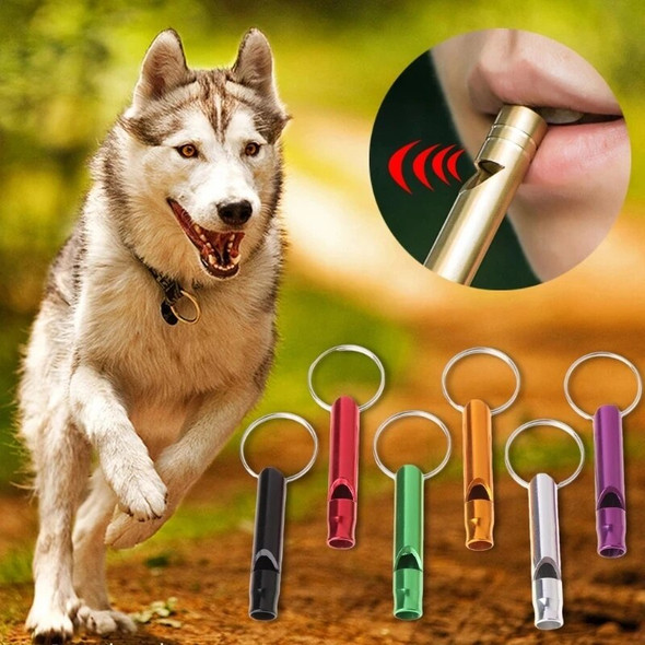 1 PCS Outdoor Training Whistle Dogs Repeller Pet Training Whistle Anti Bark Dogs Training Flute Pet Supplies Dog Pet Accessories