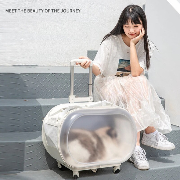 Lightweight Transparent Pet Carrier, Trolley Suit Case, Pet Carrier, Outing Bubble, Clear Backpack, Expandable Pet Bag, Articles