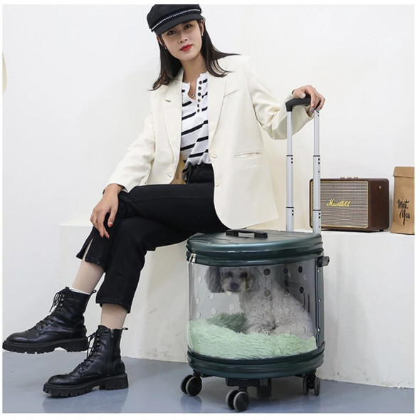 Pet Cat Cart Dog Portable Travel Rolling Luggage Backpack Dog Carrier Carry Travel Clear Capsule Bag