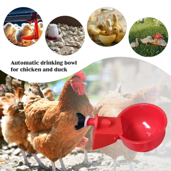 30-6PCS Automatic Chicken Water Cup Chicken Duck Drinking Cup Easy to Install Plastic Poultry Farm Water Drinking Chicken Feeder