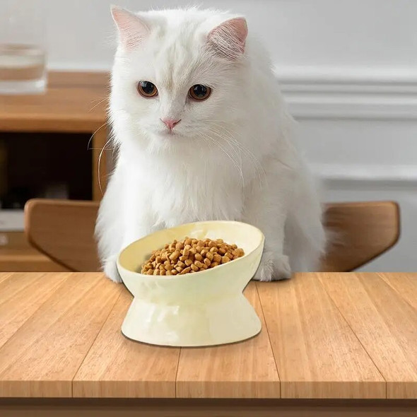 Tilted Cat Water Bowl Ceramic Tilted Water Bowl Feeding Dish Wide Cat Food Bowl Feeding Watering Supplies For Flat-Faced Cats