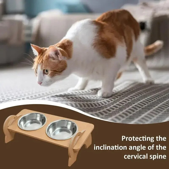 Feeder Bowls With Raised Stainless & Feeding For Supplies Steel Food Cat And Watering Double Dogs Elevated Tall Stand