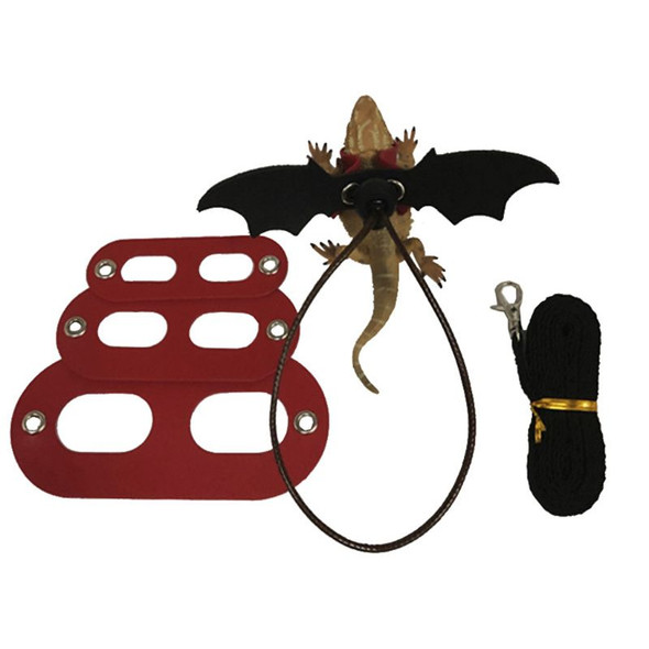 Lizard Traction Rope Reptile Bearded Dragon Harness Leather Leash with Wing Pet Suppiles