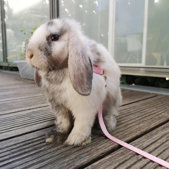 120CM Pet Rabbit Soft Harness Leash WIth Bell Adjustable Traction Rope Accessories for Pet Bunny Chinchilla Guinea Pig Run Walk 120CM Pet Rabbit Soft Harness Leash WIth Bell Adjustable Traction Rope Accessories for Pet Bunny Chinchilla Guinea Pig Run Walk
