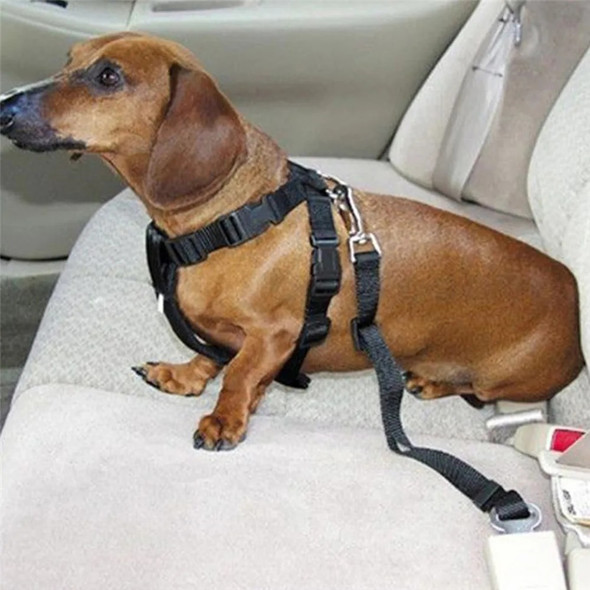 Pet Dog Cat Car Seat Belt Adjustable Harness Lead Leash Small Medium Travel Clip Puppy Collar Leash Dog Accessories Pet Supplies