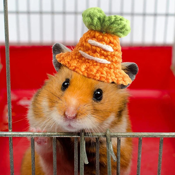 Cute Handmade Knitted Hat Hamster Decoration Chipmunk Guinea Pig Hamster Accessories Hamster Toy Hamster Supplies Small Pet Hat Cute Handmade Knitted Hat Hamster Decoration Chipmunk Guinea Pig Hamster Accessories Hamster Toy Hamster Supplies Small Pet Hat
