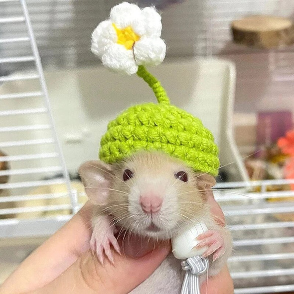 Handmade Knitted Hat Hamster Funny Headwear Chipmunk Guinea Pig Hamster Accessories Hamster Toy Hamster Supplies Small Pet Hat