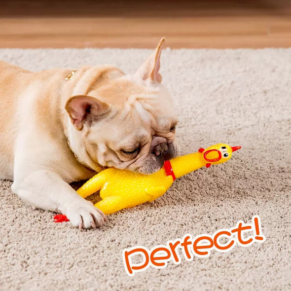 Funny Screaming Chicken Pet Dog Chew Toys Squeeze Sound Molar Chew Toys for Small Medium Large Dogs Chicken Pet Dog Toy Puppy Funny Screaming Chicken Pet Dog Chew Toys Squeeze Sound Molar Chew Toys for Small Medium Large Dogs Chicken Pet Dog Toy Puppy